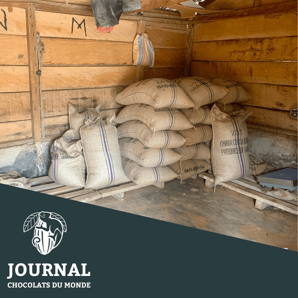 Le Cadmium et le Cacao : Comprendre un Défi Caché du Chocolat - Chocolats du Monde