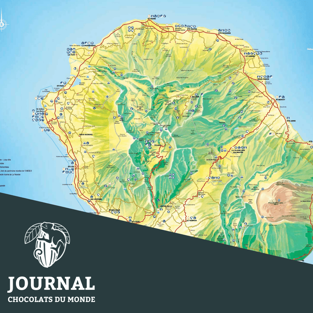 L’île de La Réunion, un héritage historique et une filière à relancer - Chocolats du Monde