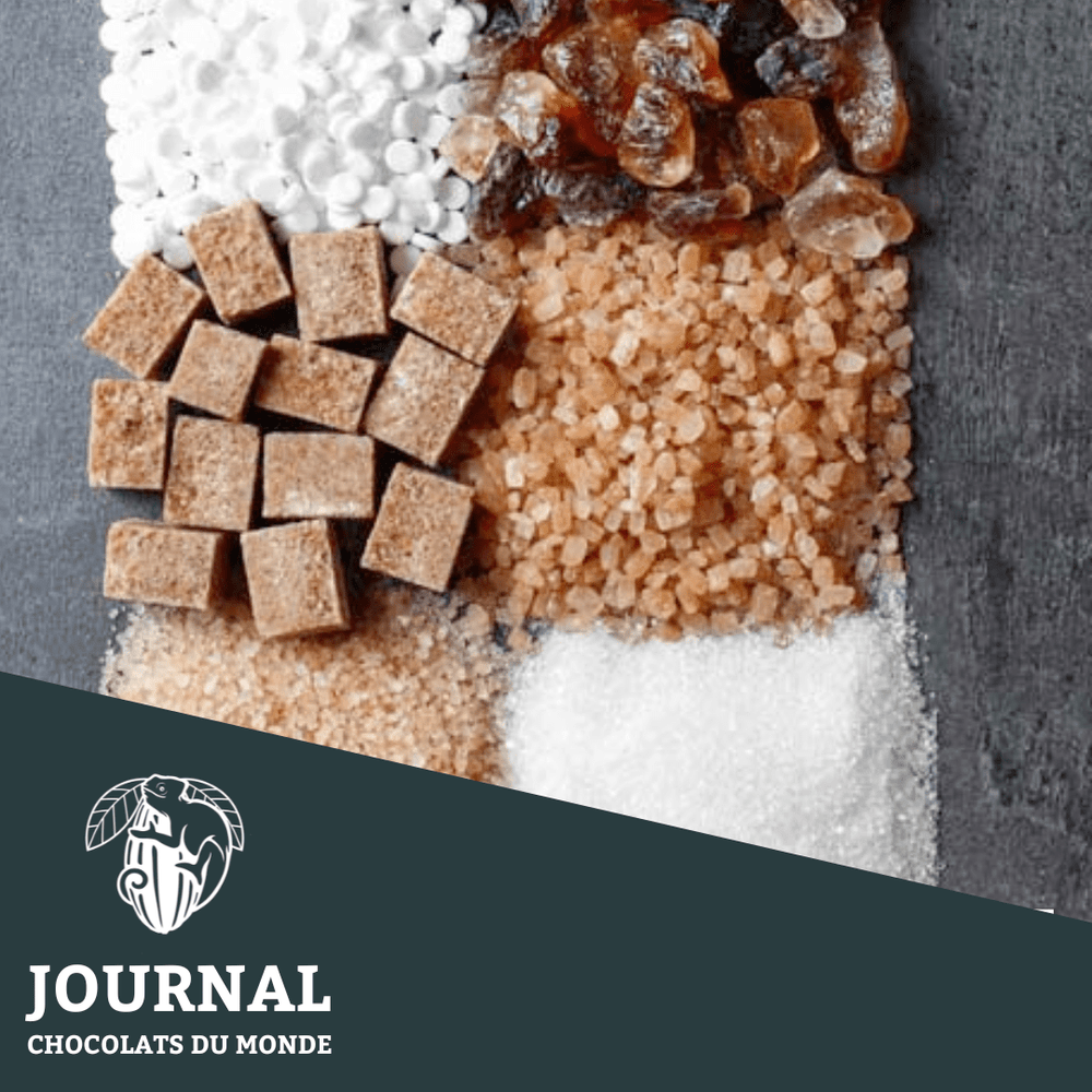 Sucre et Chocolat : Quel Édulcorant Choisir ? - Chocolats du Monde