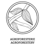 Agroforesterie - Chocolats du Monde