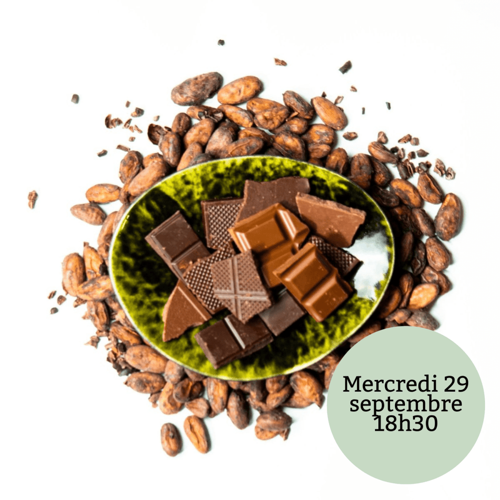 Dégustation decouverte Bean - to - Bar Chocolats - Chocolats du Monde